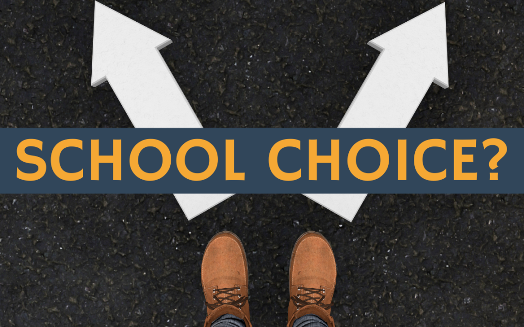 Quick Poll: Where Do You Stand on School Choice?