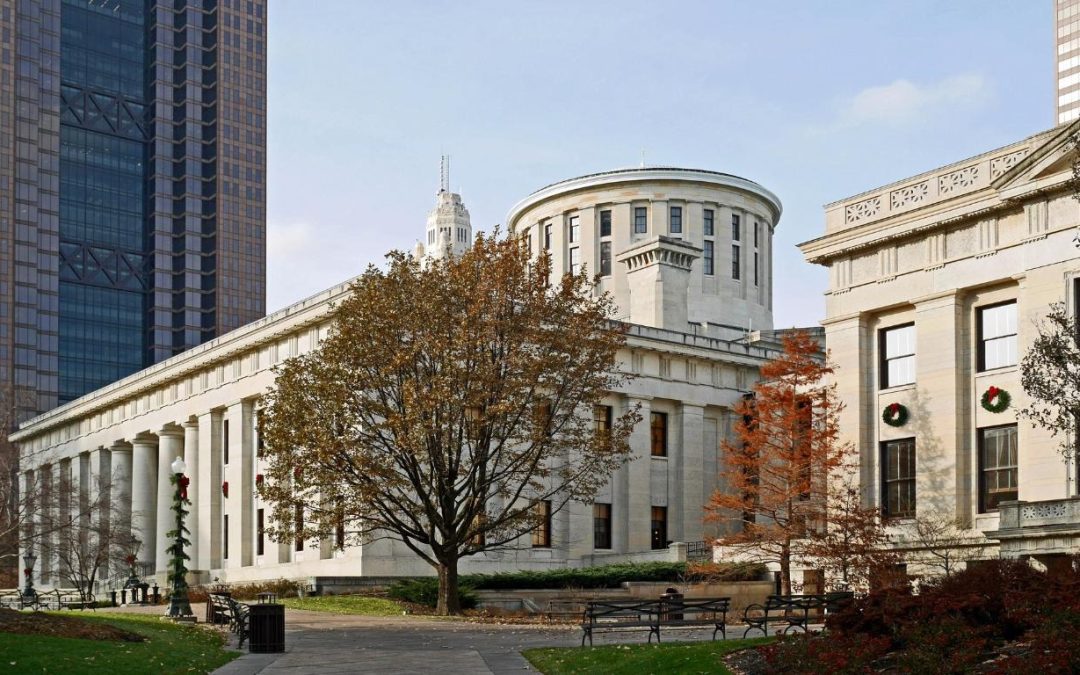 Ohio: Don’t let them transfer parental rights to radical judges!